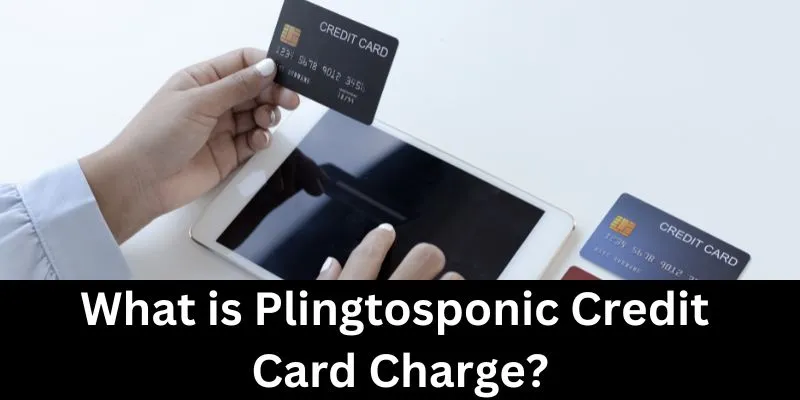 Plingtosponic Credit Card Charge
