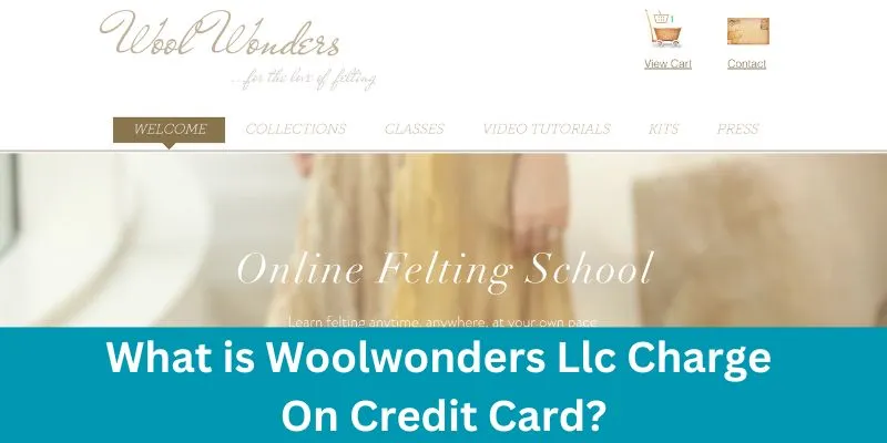 Woolwonders Llc Charge On Credit Card