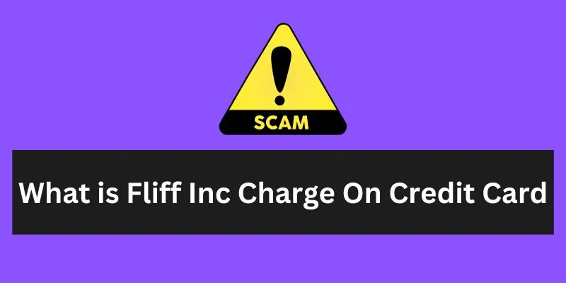 Fliff Inc Charge On Credit Card