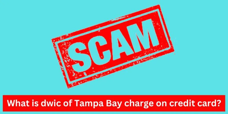 dwic of Tampa Bay charge on credit card